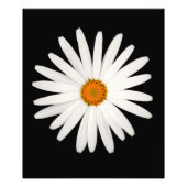 Daisy Blume Fotodruck (Vorne)