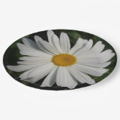 Daisy Blume Fotografie Pappteller (Schrägansicht)