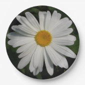 Daisy Blume Fotografie Pappteller (Vorderseite)