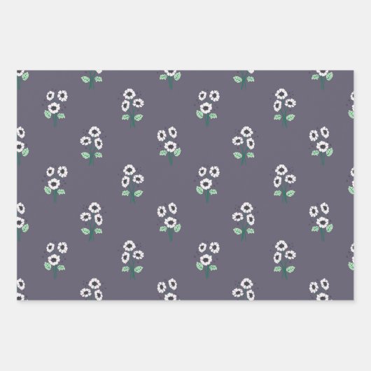 Daisy Blume Geschenkpapier Set (Vorderseite)