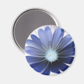 Daisy Blume Glows Blue Magnet (Vorderseite/Rückseite)