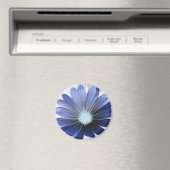 Daisy Blume Glows Blue Magnet (In Situ (Geschirrspüler))