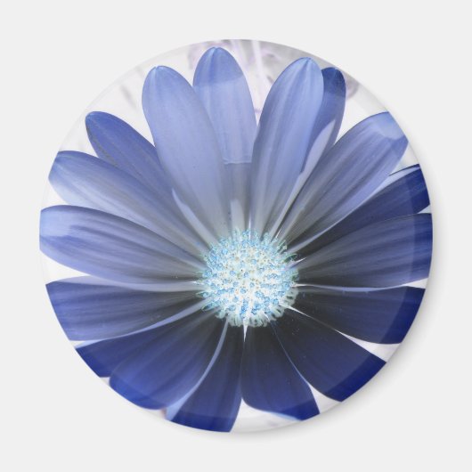 Daisy Blume Glows Blue Magnet (Vorne)