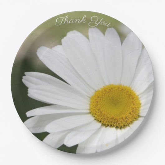 Daisy Blume Große Papierplatte Pappteller (Vorderseite)