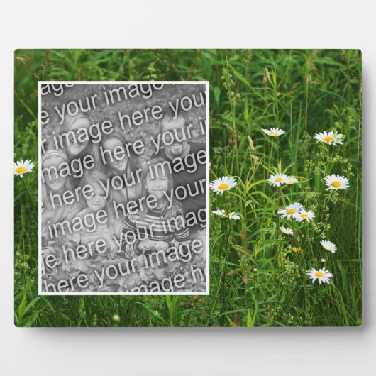 Daisy-Blume im Feld Hinzufügen Ihres eigenen Fotos Fotoplatte (Vorderseite)