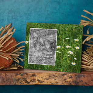 Daisy-Blume im Feld Hinzufügen Ihres eigenen Fotos Fotoplatte