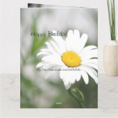 Daisy-Blume im Vollblut Karte (Rückseite)