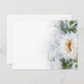 Daisy Blume im Winter eingefroren Einladungspostkarte (Vorne/Hinten)
