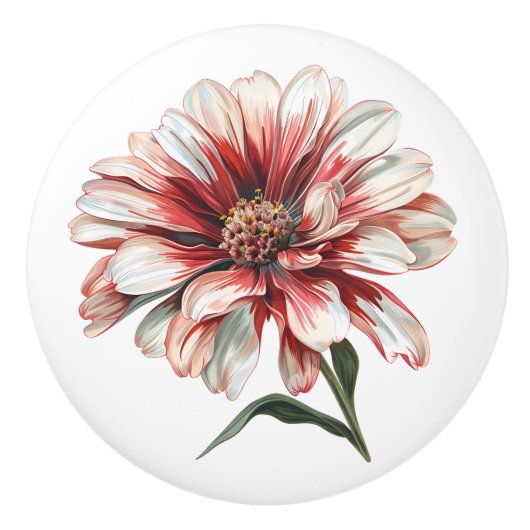 Daisy-Blume in Rot-Weiß Keramikknauf (Vorderseite)