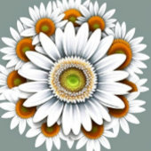 Daisy Blume iPhone Hülle