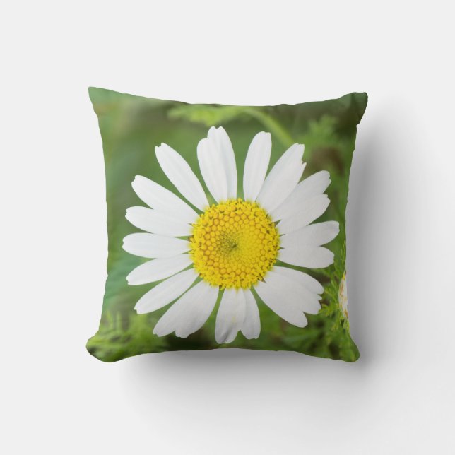 Daisy Blume Kissen (Vorderseite)