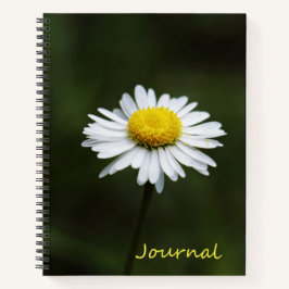 Daisy Blume Large 8.5" x 11" Journal-Notebook Notizblock