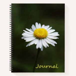 Daisy Blume Large 8.5" x 11" Journal-Notebook Notizblock