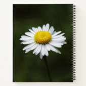Daisy Blume Large 8.5" x 11" Journal-Notebook Notizblock (Rückseite)