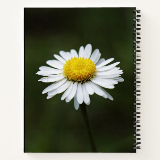 Daisy Blume Large 8.5" x 11" Journal-Notebook Notizblock (Rückseite)