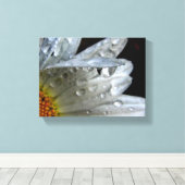 Daisy Blume Macro Leinwanddruck (Insitu (Holzboden))