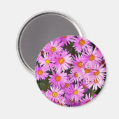 DAISY BLUME MAGNET (Vorderseite/Rückseite)