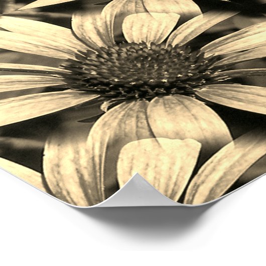 Daisy Blume Mirror Sepia Abstrakt Poster (Ecke)