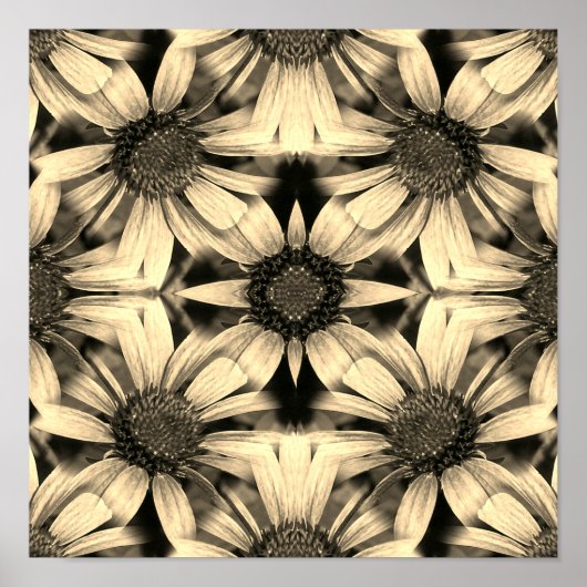 Daisy Blume Mirror Sepia Abstrakt Poster (Vorne)