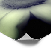 Daisy Blume Nah Schwarz-Weiß Poster (Ecke)