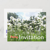 Daisy Blume Party Einladung Postcard Postkarte (Vorne/Hinten)