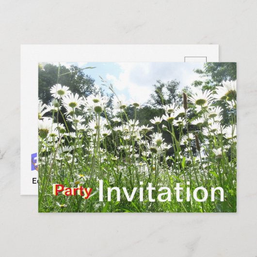 Daisy Blume Party Einladung Postcard Postkarte (Vorne/Hinten)