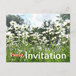 Daisy Blume Party Einladung Postcard Postkarte