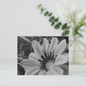 Daisy Blume Postcard Postkarte (Stehend Vorderseite)
