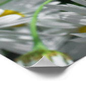 Daisy Blume Poster (Ecke)