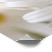 Daisy Blume Poster (Ecke)