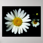 Daisy Blume Poster (Vorne)