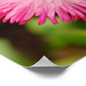 Daisy Blume - Poster (Ecke)