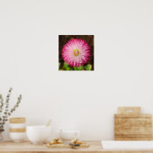 Daisy Blume - Poster (Küche)