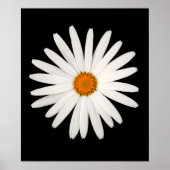 Daisy Blume Poster (Vorne)