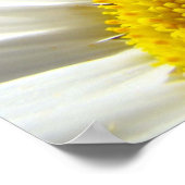 Daisy Blume Poster Blue Sky Floral Holidays (Ecke)