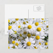 Daisy Blume Postkarte (Vorne/Hinten)
