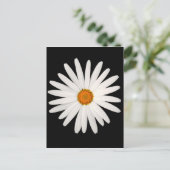 Daisy Blume Postkarte (Stehend Vorderseite)
