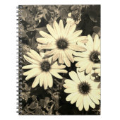 Daisy Blume Sepia Notebook Notizblock (Vorderseite)
