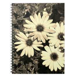 Daisy Blume Sepia Notebook Notizblock