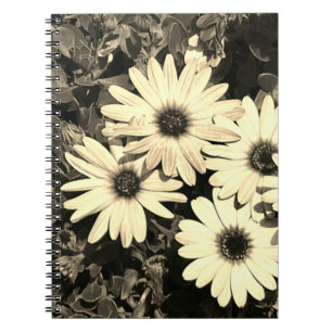 Daisy Blume Sepia Notebook Notizblock