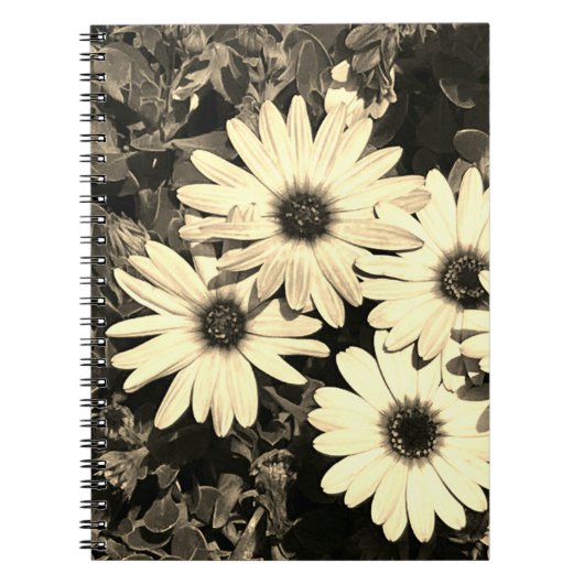 Daisy Blume Sepia Notebook Notizblock (Vorderseite)