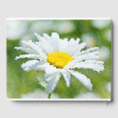 Daisy, Blume, Sommer Gästebuch (Rückseite)