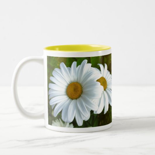 Daisy Blume Tasse Kaffee Cup White Daisies Cup (Links)