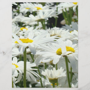 Daisy Blume thematische Flyer Papier Business Offi
