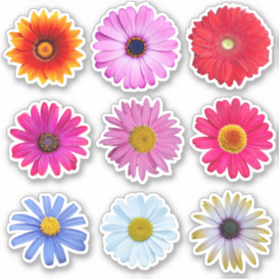 Daisy Blume Vinyl Aufkleber