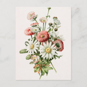 Daisy Bouquet Postcard Postkarte