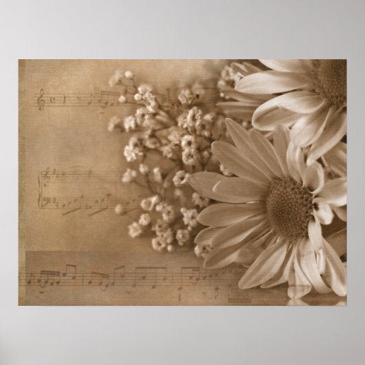 Daisy Bouquet über Musik Poster (Vorne)