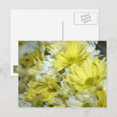 Daisy Bouquets Postkarte (Vorne/Hinten)