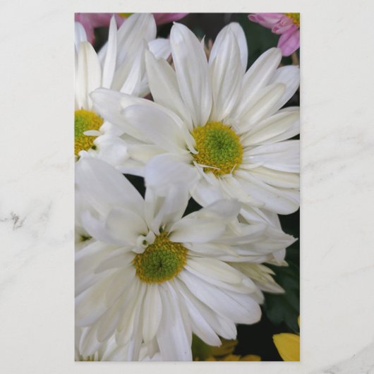 Daisy Briefpapier (Vorderseite)