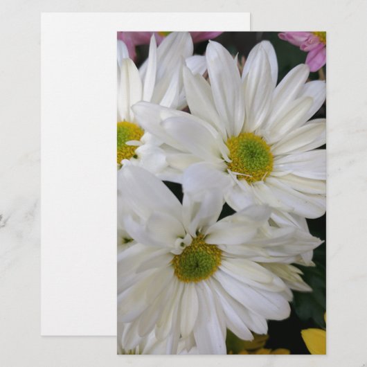 Daisy Briefpapier (Vorne/Hinten)